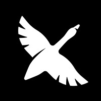 goose logo - automation tool