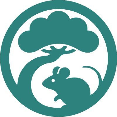 Linzumi