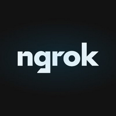 ngrok logo - automation tool