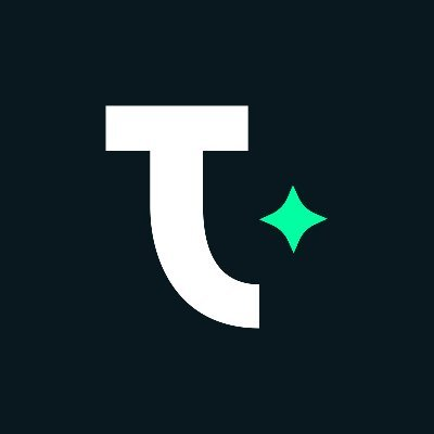 Tigris logo - data enrichment tool